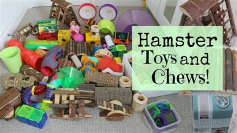 Homemade Chew Toys For Hamsters | Wow Blog