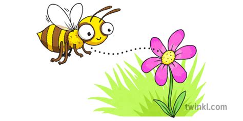 Cartoon Bee and Flower Illustration - Twinkl