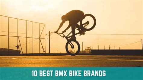 Top 10 Best BMX Brands Of 2023 - BikesReviewed.com