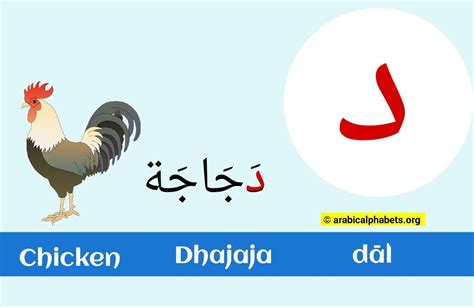 Dal In The Arabic Letter: (د) Read & Write with Illustrations