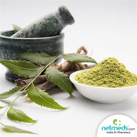 Neem Leaves In Chinese - 7 Surprising Beauty Benefits of Neem Leaves for Skin ... / However ...