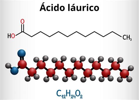 Lípidos: qué son, características, ejemplos, estructura, función