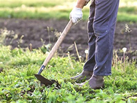 How To Use A Garden Hoe In 2024 - A Nest With A Yard