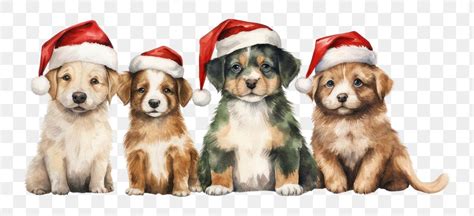 Christmas Dog Images | Free Photos, PNG Stickers, Wallpapers ...