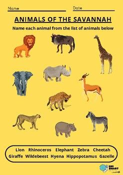 Name the Animals of the Savannah by Sci Smart Education | TPT