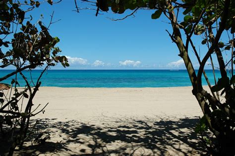 Ocean Park just steps from the Dreamcatcher #beach #puertorico #travel ...