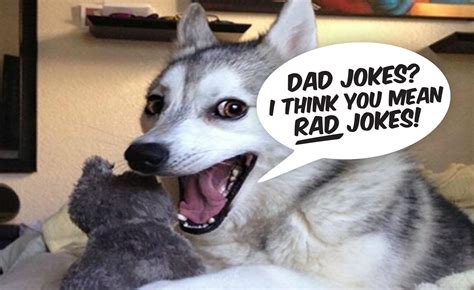 20 Of The Best (or Worst) Funny (and Clean) Dad Jokes for Father’s Day ...