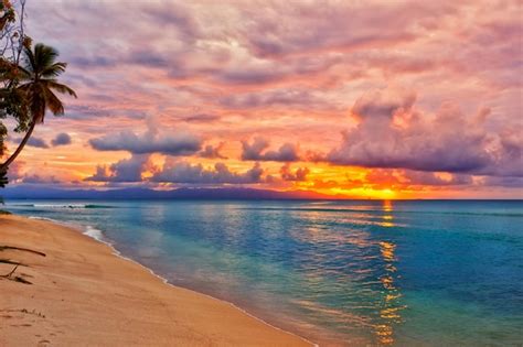 Premium Photo | Caribbean beach sunset