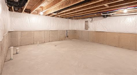 Basement Mold Removal Geneva IL | Alliance Restoration