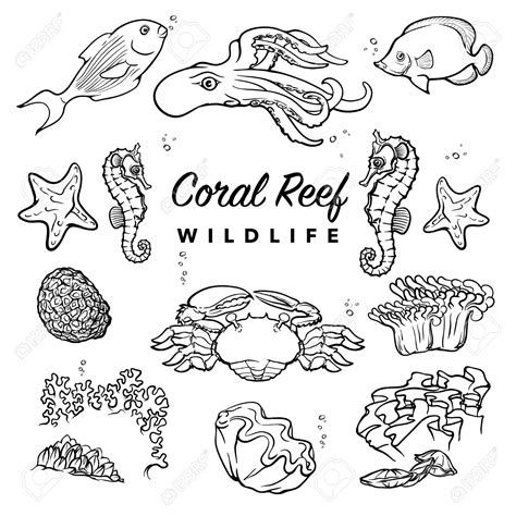 Sea Coral Drawing at GetDrawings | Free download