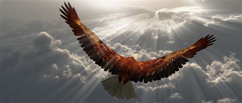 Eagle in flight above the clouds | More. Better. Blessed.