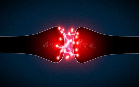 Chemical Synapse Gap Junction Stock Illustrations – 18 Chemical Synapse ...