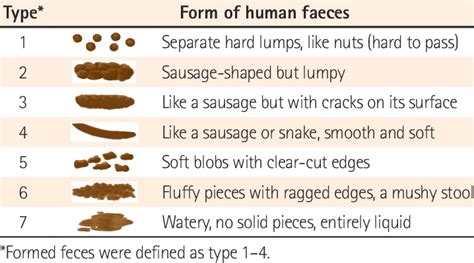 Human Stool Types