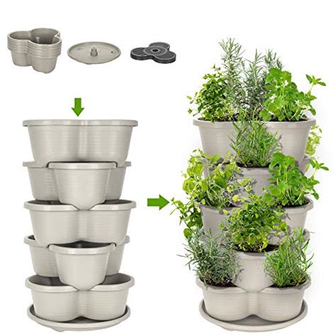 10 Best Planters for Strawberries: Buying Guide