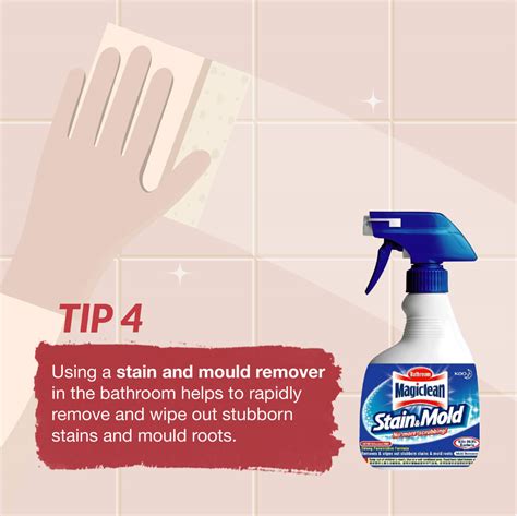 Easy Mould Prevention Tips For Your Home Mould... - HORME.SG Blog