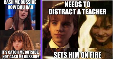 22 Hermione Granger Memes Proving She Could've Been the Star of Harry ...