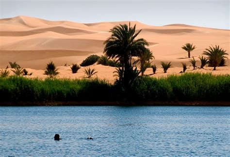 The beautiful oasis in the Sahara desert |Funroster