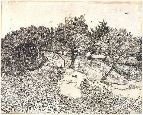 Olive Trees, Montmajour by Vincent van Gogh - 1205 - Drawing