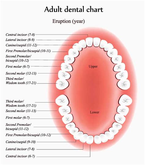 Kind and Dental