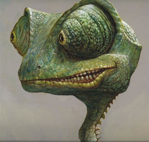 Rango, concept art | Concept art, Character design, Art