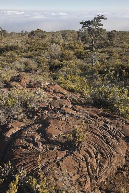 Pahoehoe Lava Formation — outdoor, natural - Stock Photo | #164930930