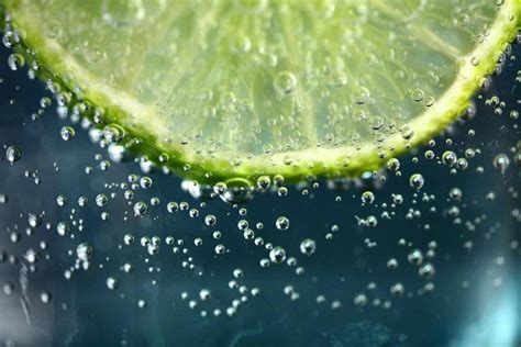 Lime Slice on Water · Free Stock Photo