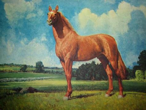 MAN O' WAR RACEHORSE ORIGINAL 1942 ROBERT AMICK PRINT | #16517763