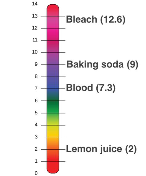 Ph Scale Acids And Bases