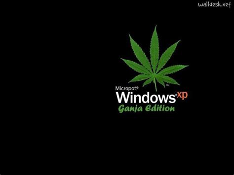 Weed Wallpapers Desktop - Wallpaper Cave