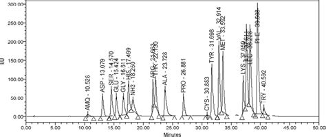 Separation chromatogram of amino acids through amino acid analyzer. | Download Scientific Diagram