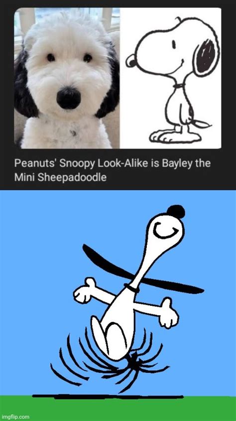 A Snoopy lookalike - Imgflip