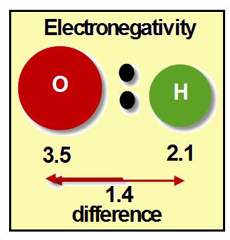 What Are Hydrogen Bonds? - VanCleave's Science Fun