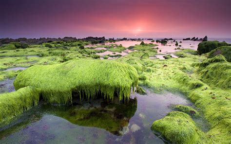 river, sea, beach Wallpaper, HD Nature 4K Wallpapers, Images and Background - Wallpapers Den