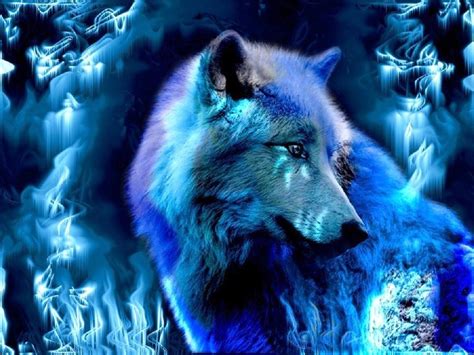 Blue Wolf Wallpapers - Wallpaper Cave