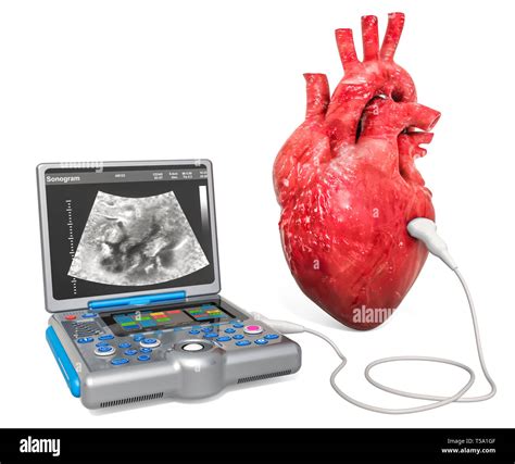 Cardiac Ultrasound concept. Human heart with medical ultrasound diagnostic machine, 3D rendering ...