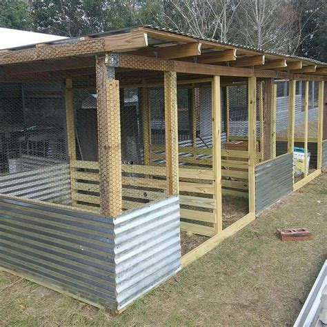 Chicken Cages and Poultry Farm Design