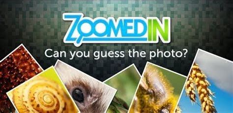 30 Fun Games to Play on Zoom with Students - Teaching Expertise