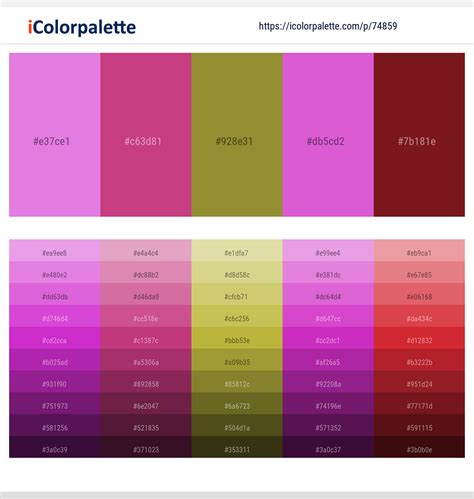 5 Latest Color Schemes with Orchid And Mulberry Color tone combinations | 2025 | iColorpalette