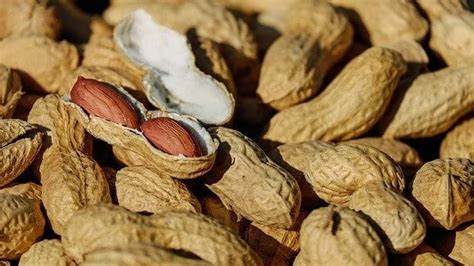 Peanut Allergy Prevention - Fort Wayne Allergy & Asthma Consultants, Inc.