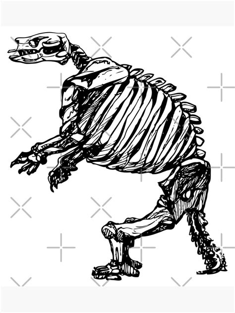 "Giant ground sloth skeleton" Poster by stasia-ch | Redbubble