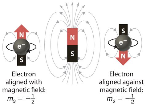 Building Up the Periodic Table