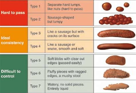 Bristol Stool Form Scale | Download Scientific Diagram