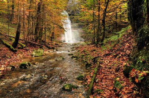 Autumn Forest With Waterfall by Burtn on DeviantArt