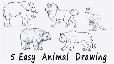 Drawings Of Animals