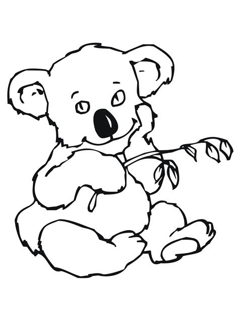 Download Koala Bear coloring for free - Designlooter 2020 👨‍🎨