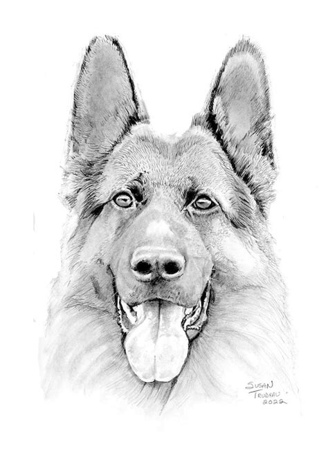 Realistic German Shepherd Puppy Drawing