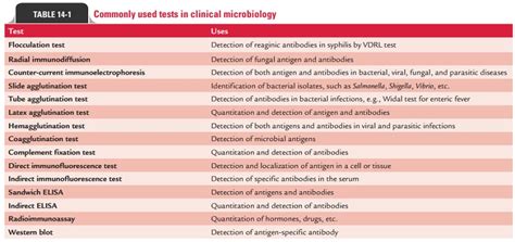 Types of Antigen-Antibody Reactions