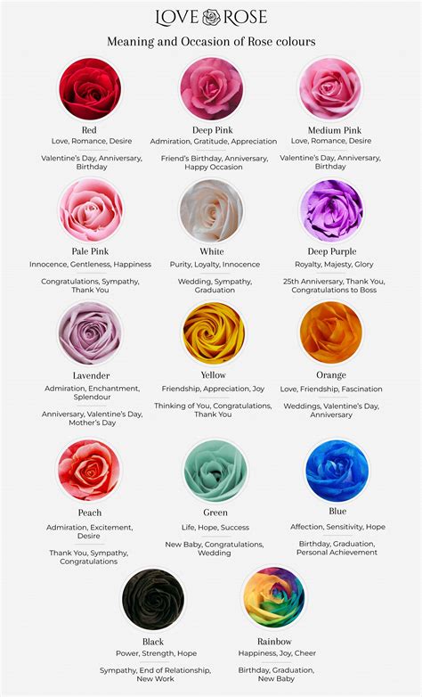 Rose Colour Meaning Guide [+Chart for Download] – LoveRose