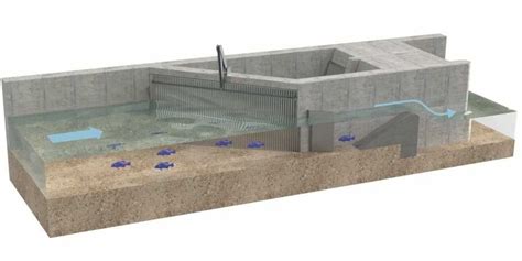 Toward more fish-friendly hydropower plants