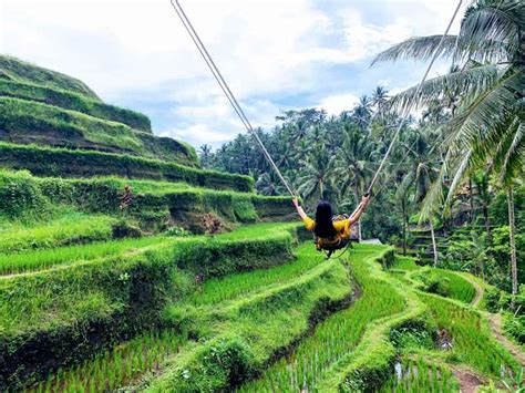 Ubud Bali Rice Terraces